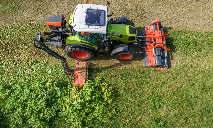 Galerie - Image - Cobra